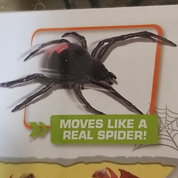 Robotic spider - Picture 6 of 7